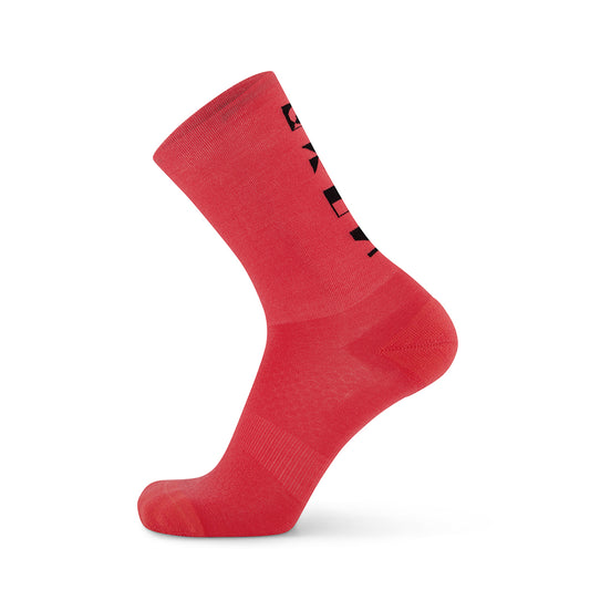 Atlas Merino Crew Sock - Watermelon