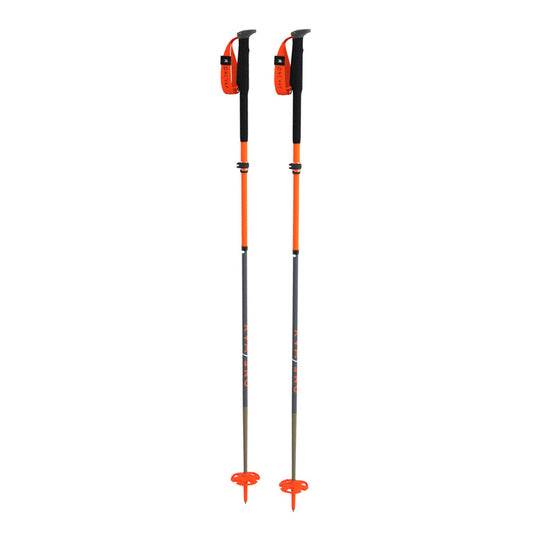 TR CARBON VARIO X