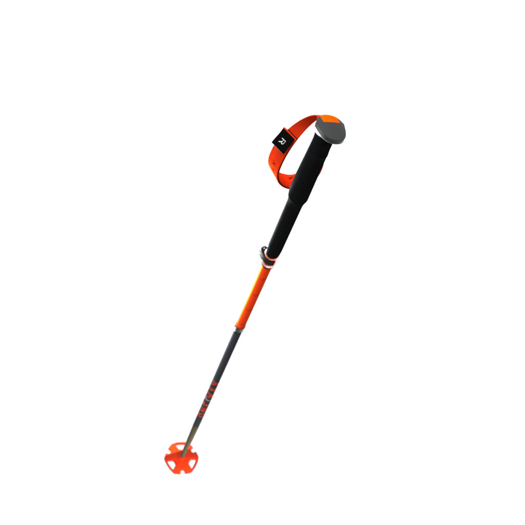 TR CARBON VARIO X