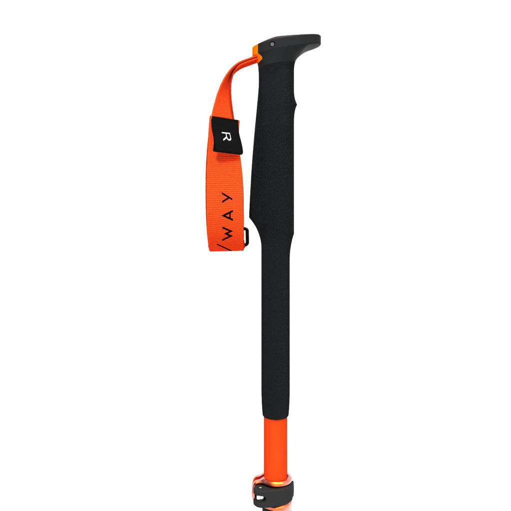 TR CARBON VARIO X